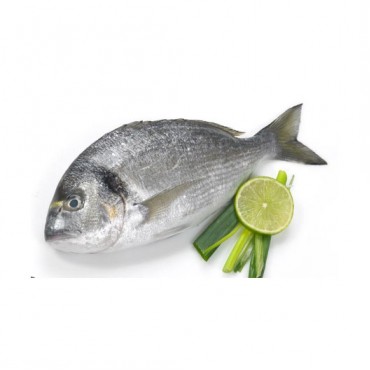 Çipura (İçi Temizlenmiş) 4/5 %10 Glazeli / 1Kg