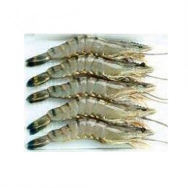 Jumbo Karides Kabuklu 4/6 Black Tiger %30 Glaze / 1Kg